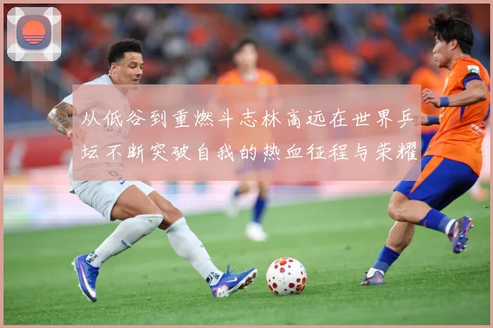 从低谷到重燃斗志林高远在世界乒坛不断突破自我的热血征程与荣耀梦想解析-深度解析