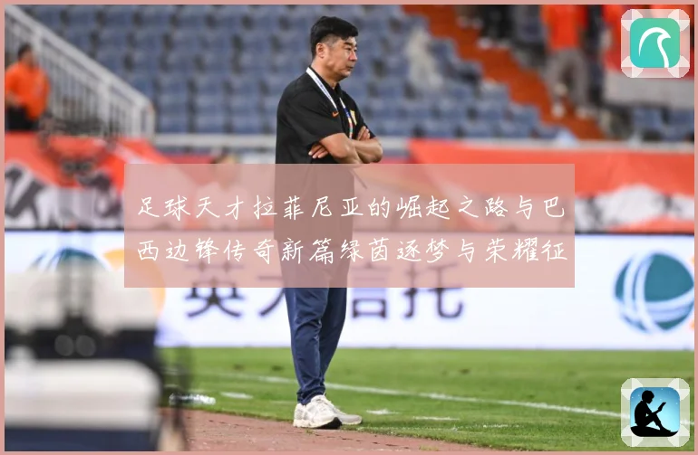 足球天才拉菲尼亚的崛起之路与巴西边锋传奇新篇绿茵逐梦与荣耀征战术观察-深度解析