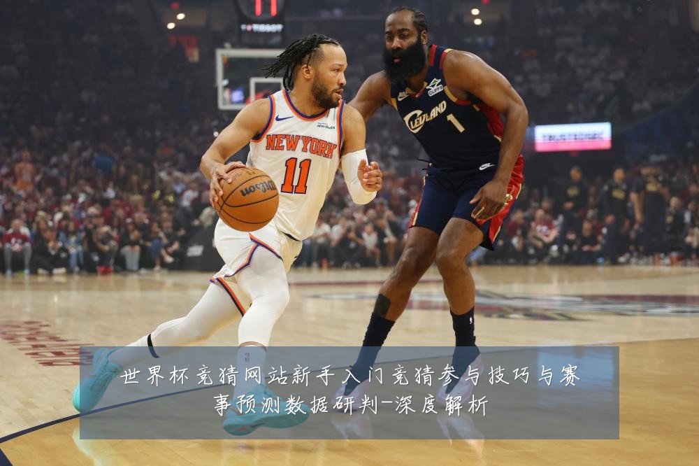 世界杯竞猜网站新手入门竞猜参与技巧与赛事预测数据研判-深度解析