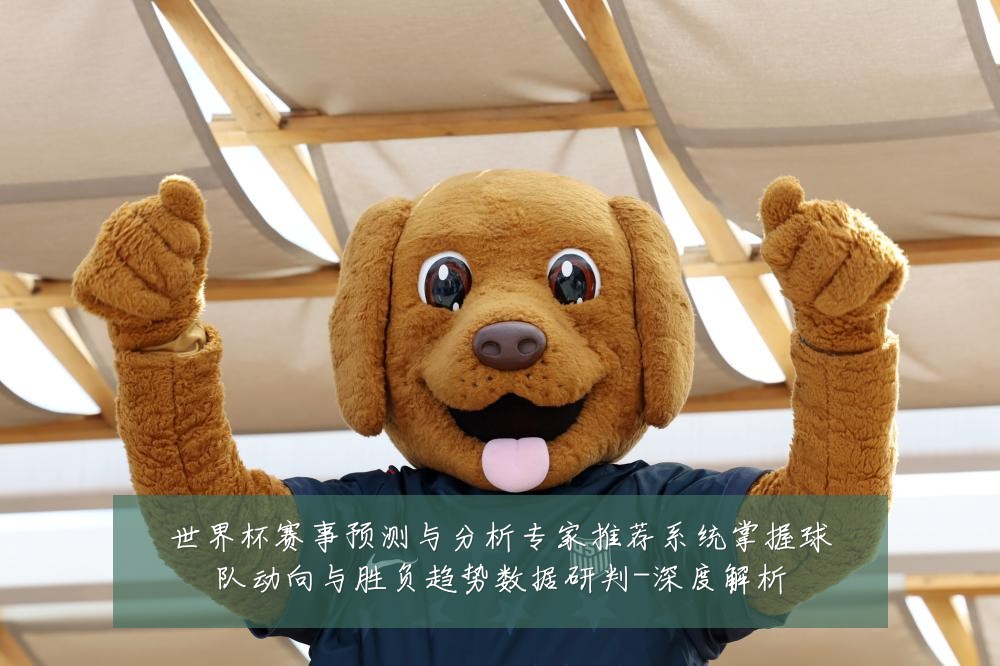世界杯赛事预测与分析专家推荐系统掌握球队动向与胜负趋势数据研判-深度解析