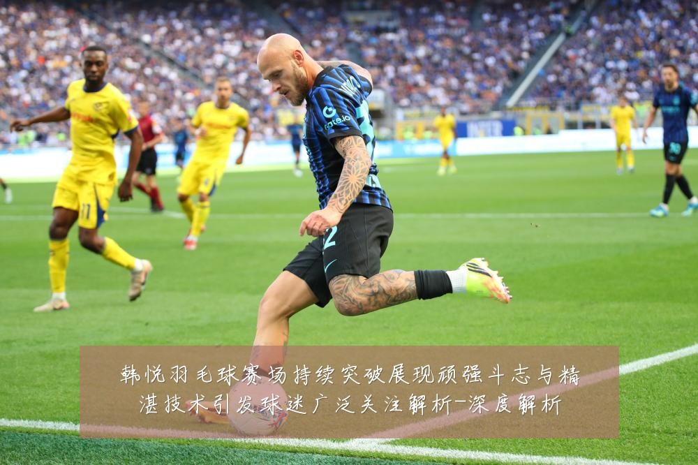韩悦羽毛球赛场持续突破展现顽强斗志与精湛技术引发球迷广泛关注解析-深度解析